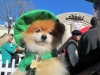 st-patricks-day-316