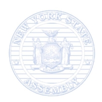 New York State Assembly