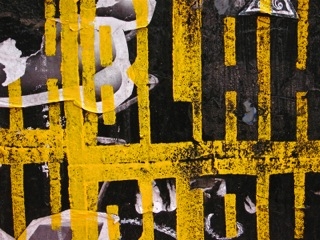 Susan Phillips
