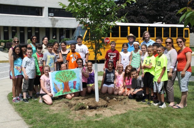 Plant a tree 2