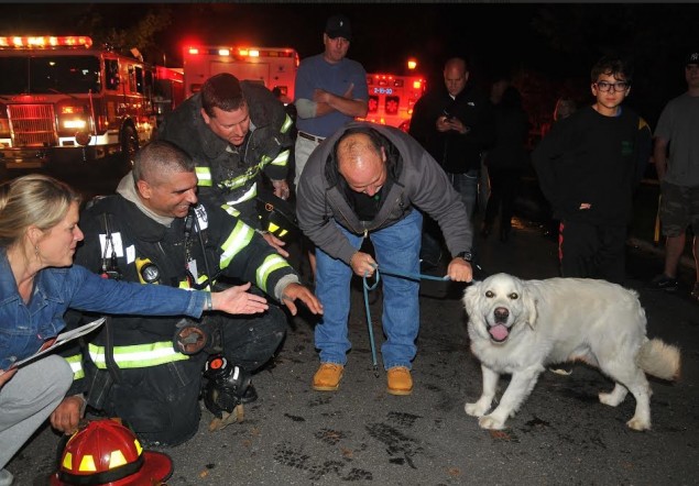 Greenlawn FD