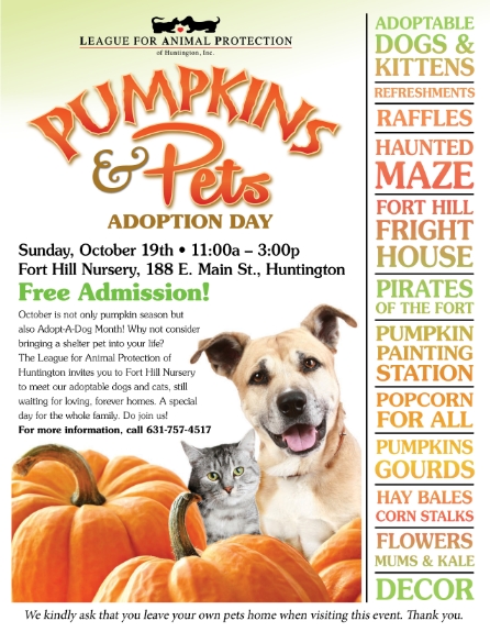 Pumpkins & Pets