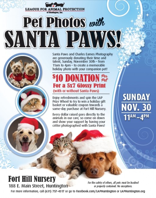 Santa Paws