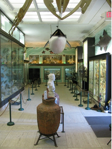 Vanderbilt Marine Museum