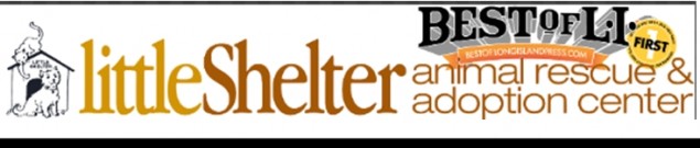 Little Shelter Animal Rescue