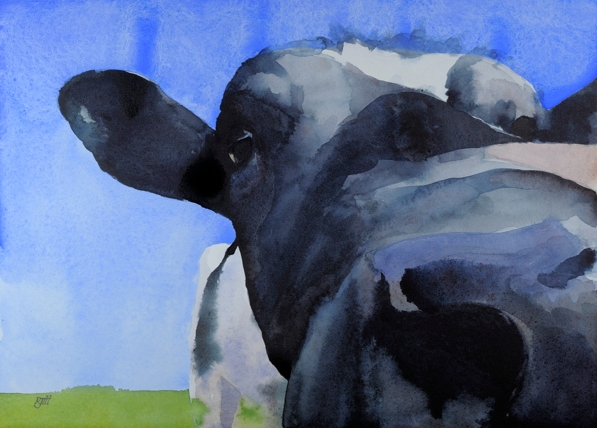 Cow