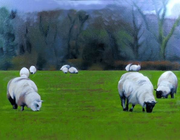 Sheepscape