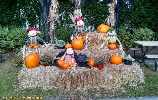 HalloweenCopenh