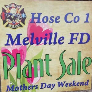 plantsale