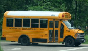 Baumann & Sons Mini Bus