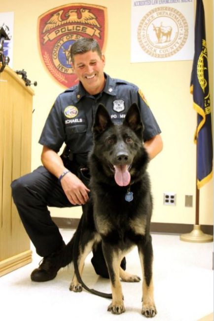 PO Michaels and Dallas